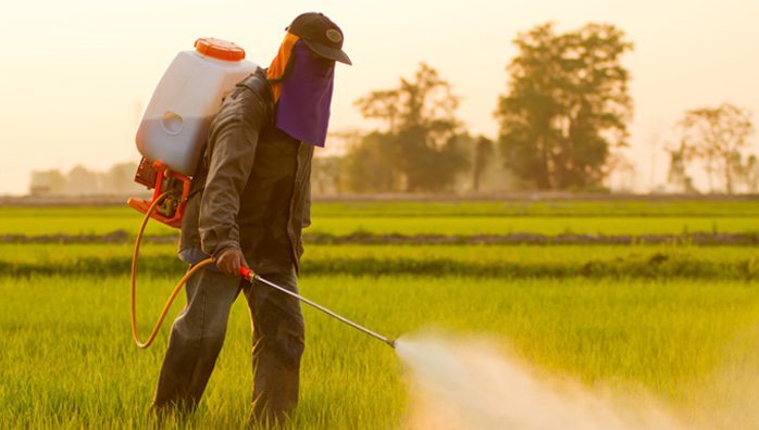 Does Your Food Contain Glyphosate?