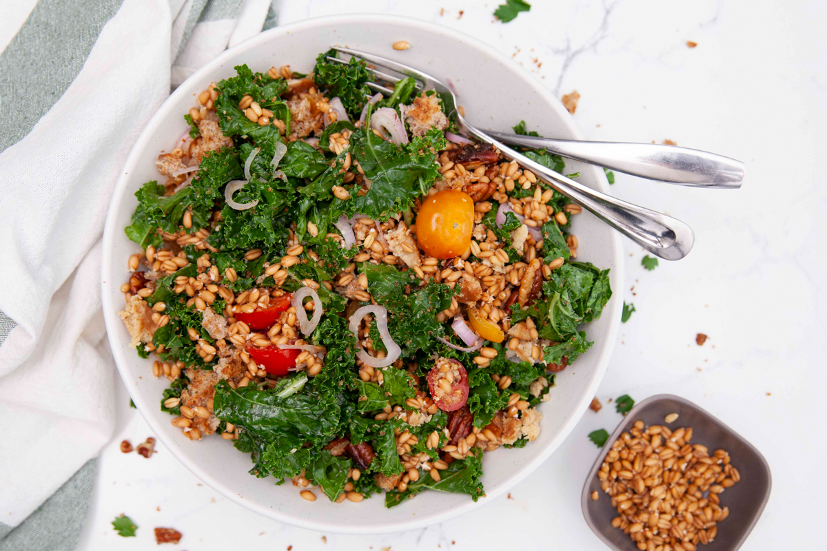 Things to do with Sprouts: Sprouted Wheat Berry and Kale Salad