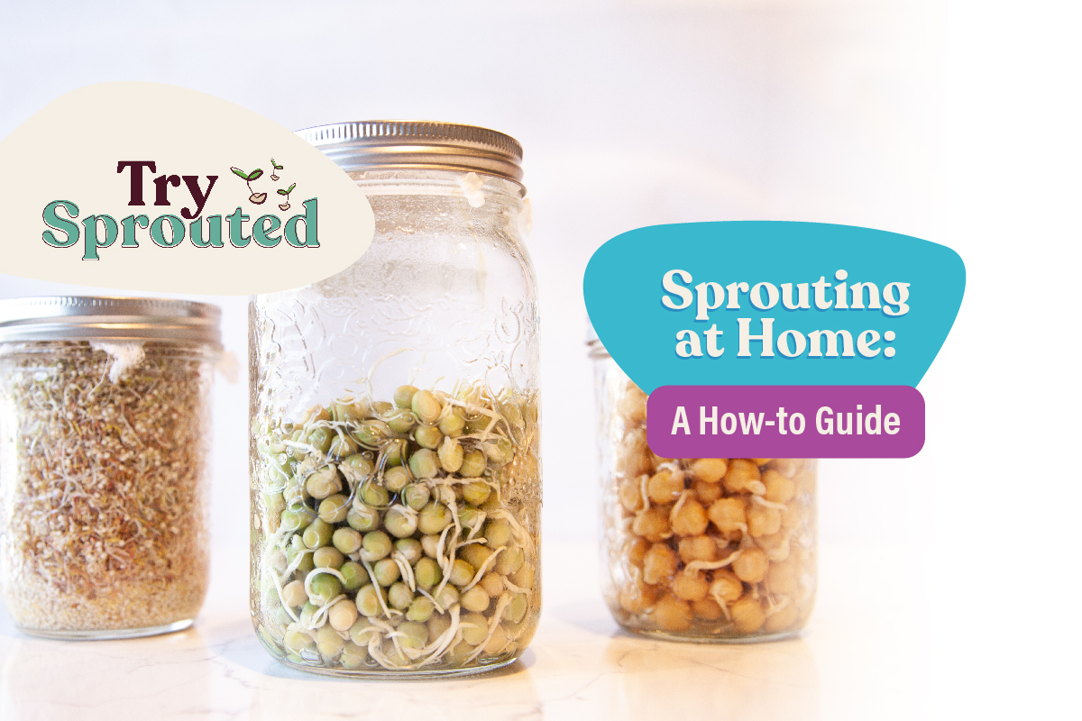 Sprouting at Home: A How-to Guide