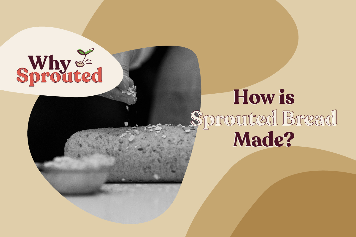 How is Sprouted Bread Made?