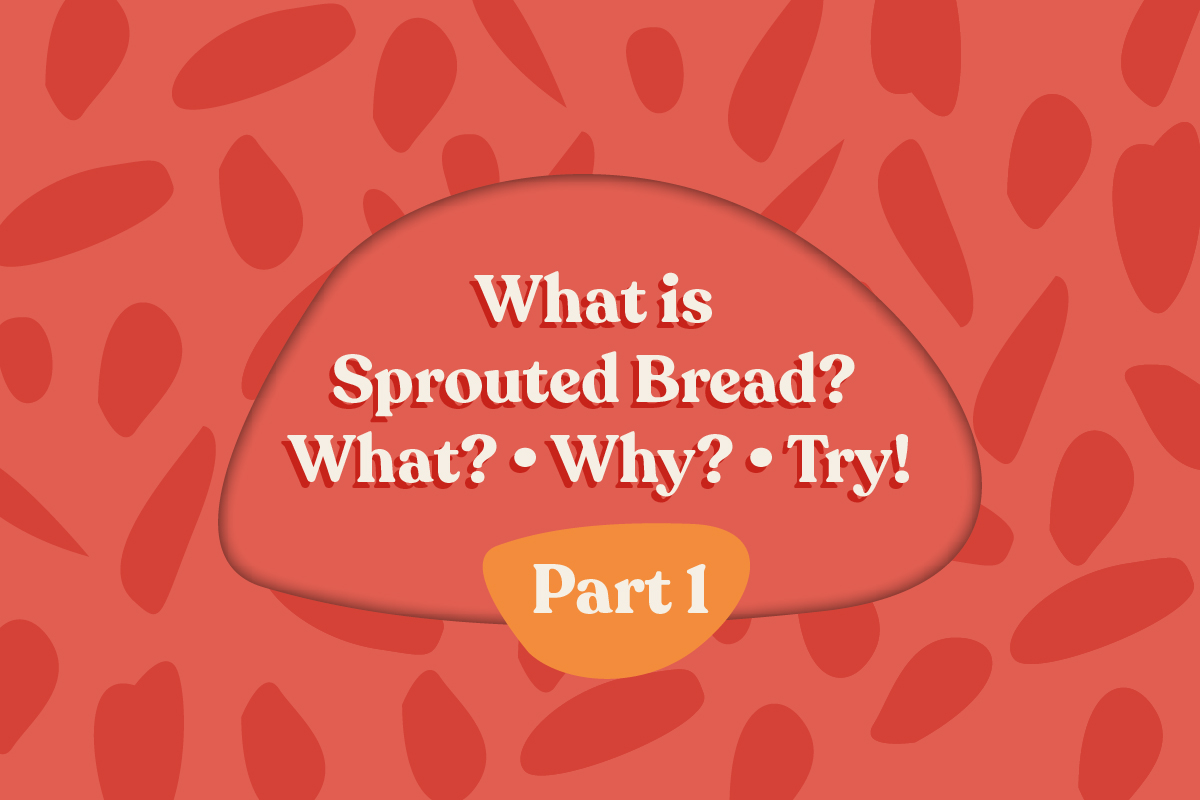 What is Sprouted Bread? Part 1 of Silver Hills Bakery's What? Why? Try! Sprouted education series
