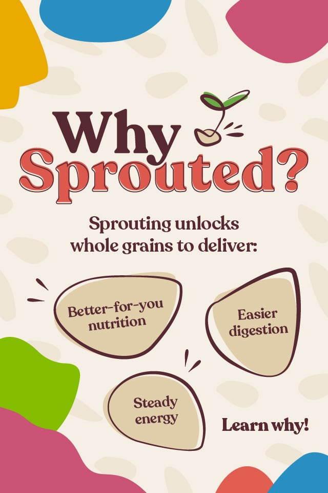 Everything You Need to Know About Sprouted Bread